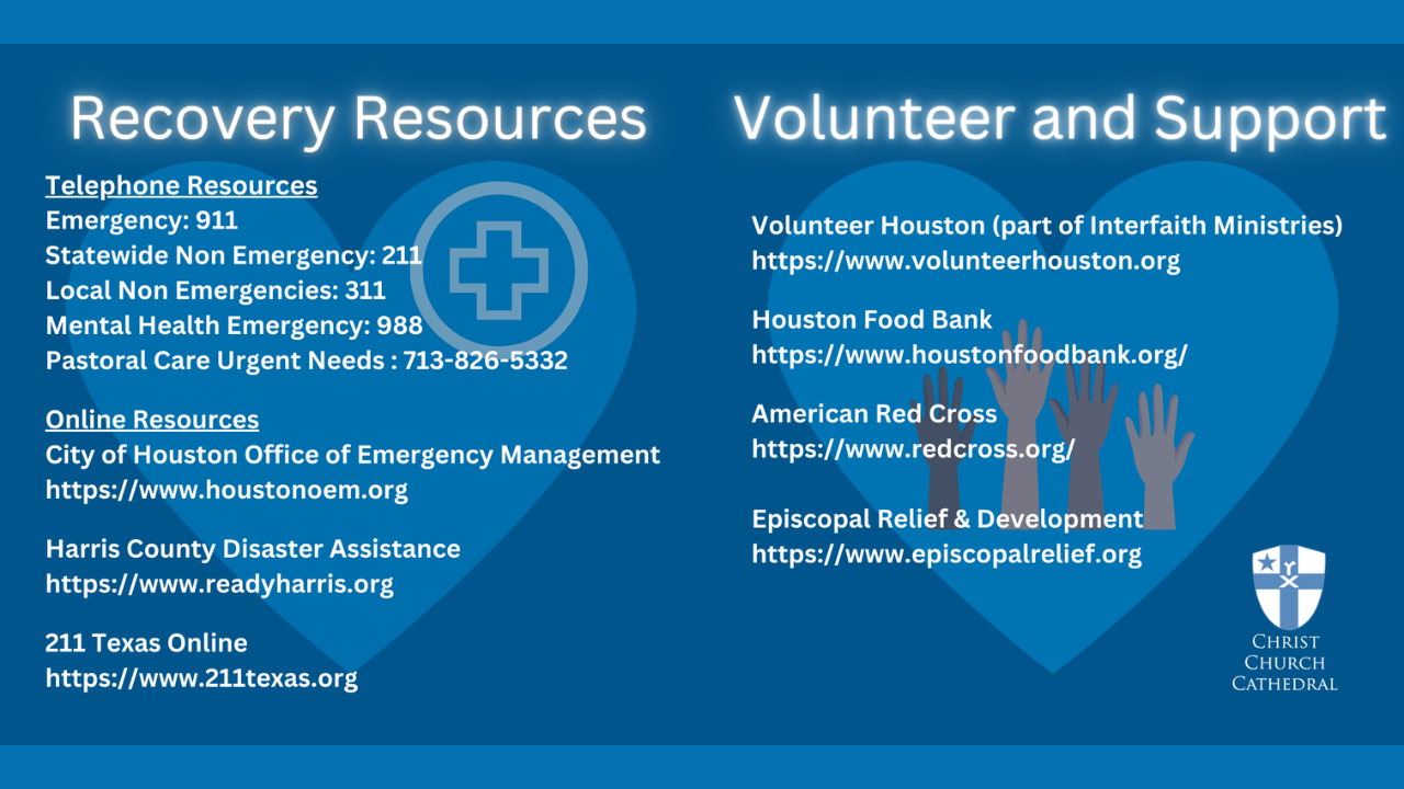 recovery-and-volunteer-2_90